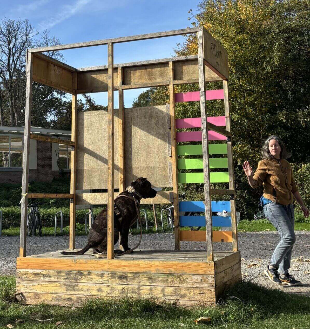 Un chien noir s'entraîne dans la cour de l'hippodrome